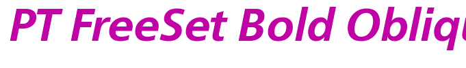 PT FreeSet Bold Oblique Cyrillic
